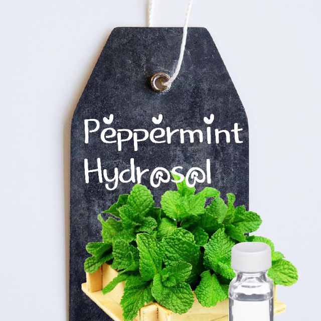Peppermint Hydrosol by Life Benefits Shopee Malaysia