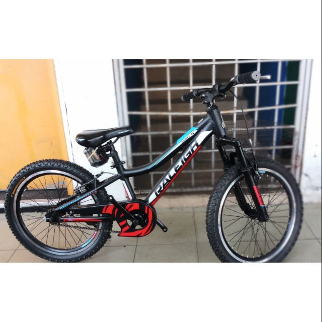 raleigh kids bike