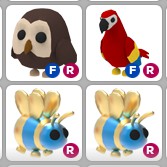 Roblox Adopt Me Pets Pictures Owl
