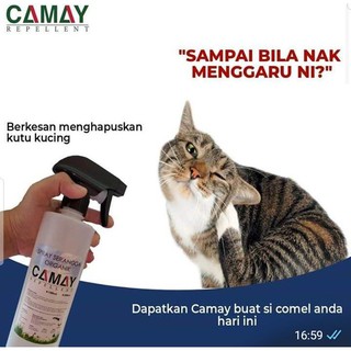 SPRAY SERANGGA Halau Tikus Kotor Pembawa Penyakit Dengan Camay 