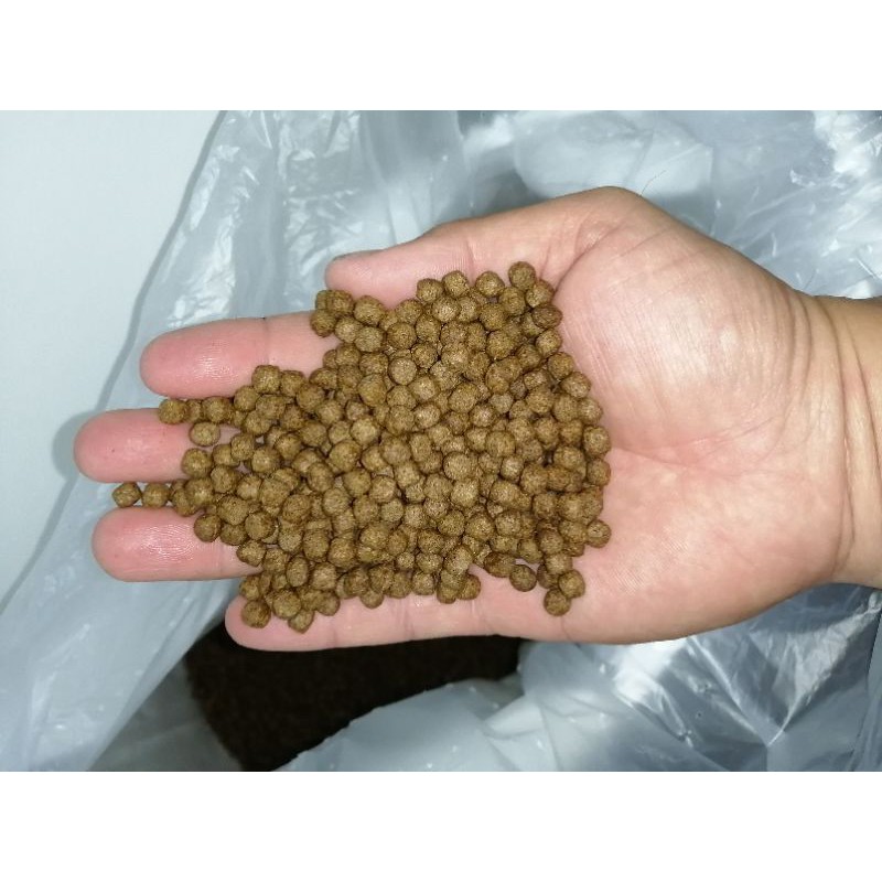 Buy Pallet Ikan Talapia 2mm High Protein 32 Seetracker Malaysia