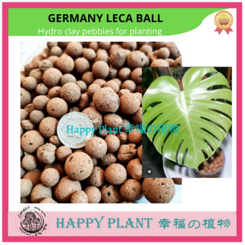 Garden indoor plant Leca ball hydro clay pebbles hydroponics system high porous growing medium from Germany