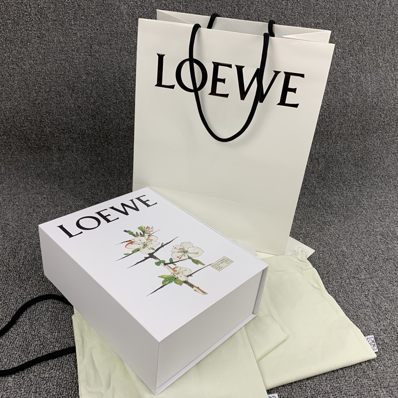 loewe box bag