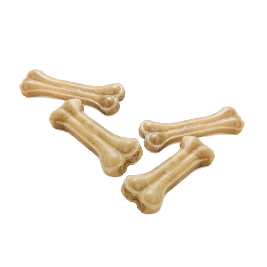 dog chew bones