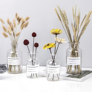 Creative transparent glass vase modern simple hydroponics vase northern Europe home furnishings Dried flower decoration