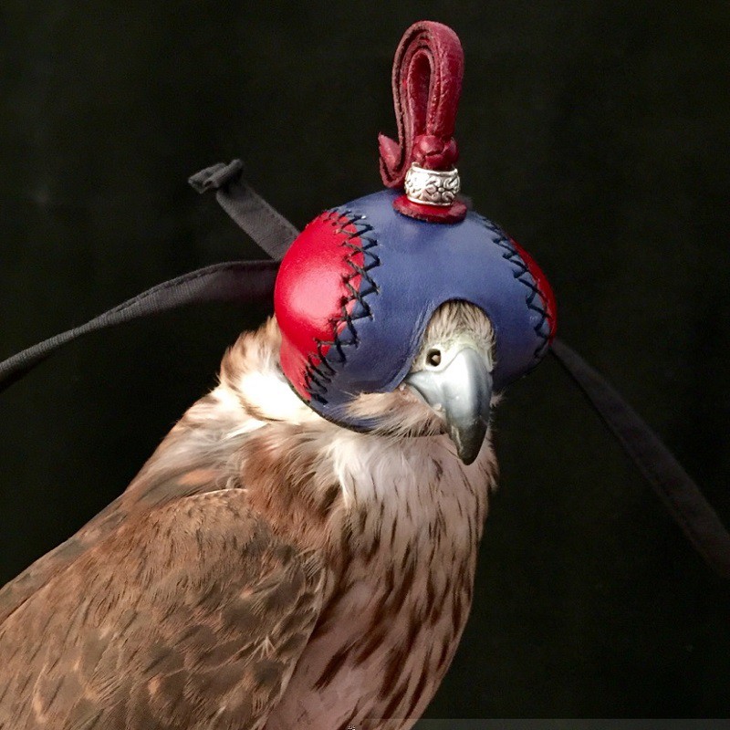 Bird S Hood Cap Eagle Hood Cap Falcon Hood Cap Owl Hood Burung