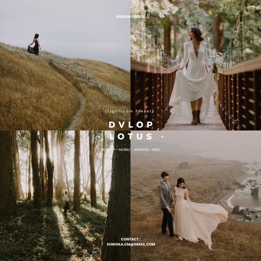[ PC ONLY ] DVLOP Nirav Patel - Lotus | emotive adobe lightroom presets