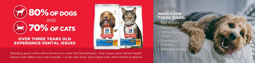 Hills Pet Nutrition Online, December 2022 | Shopee Malaysia