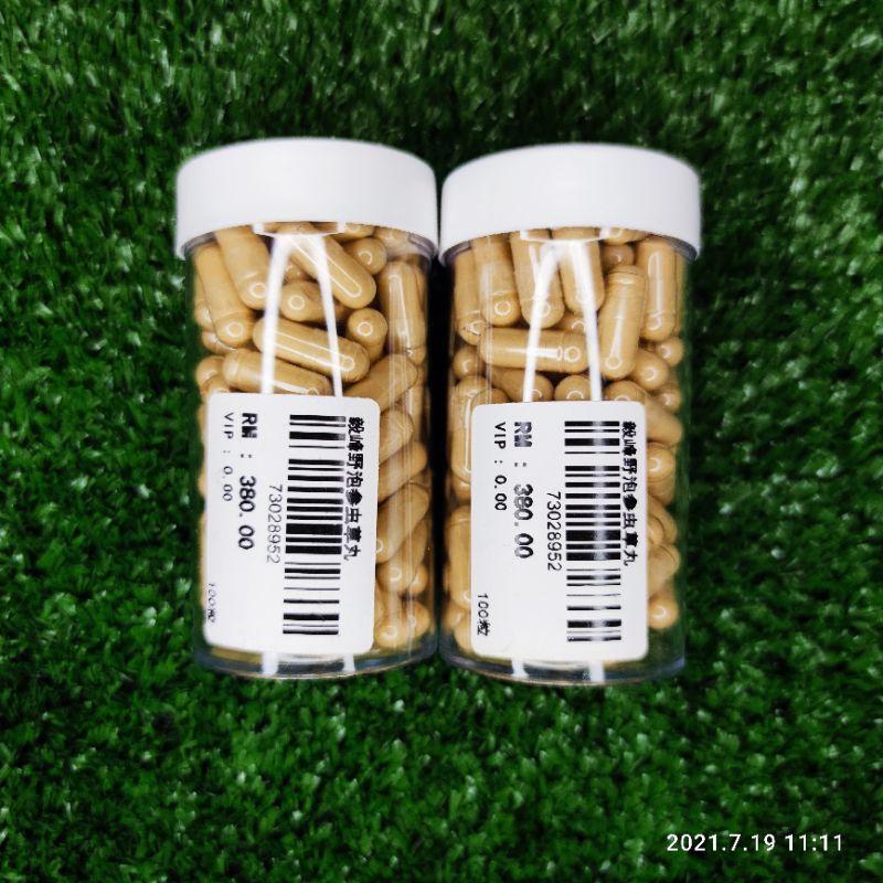 Yf 野泡参虫草丸 真正冬虫夏草碎4gm 野山人参泡参45gm 提神補氣 強肺補肺 减少咳嗽伤风问题 100粒 罐 Shopee Malaysia