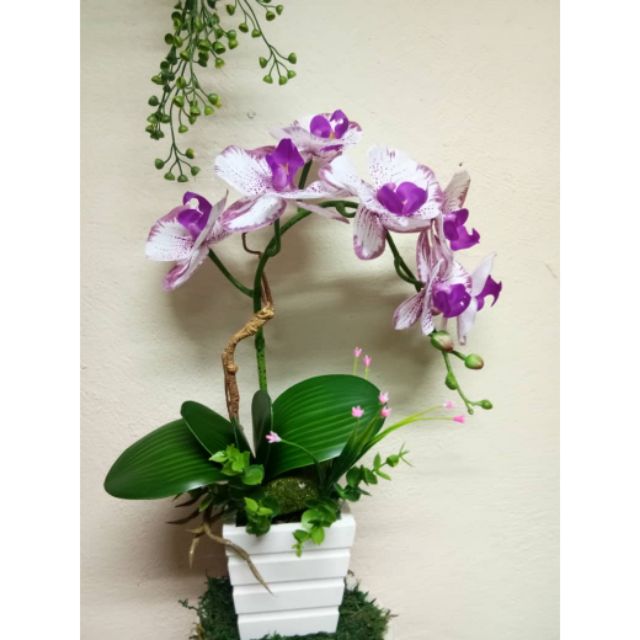  Bunga  orkid  latex hiasan  murah Shopee Malaysia