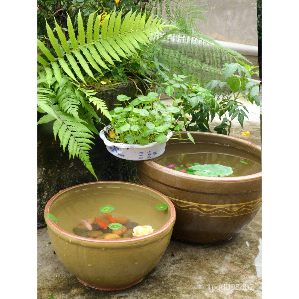 Flower Pot Lotus Basin 青釉睡莲碗多肉陶罐花盆土陶粗陶古典花坛大水缸盆栽花钵包邮莲