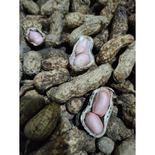 Buy Kacang Tanah Mentah Peanut Seetracker Malaysia