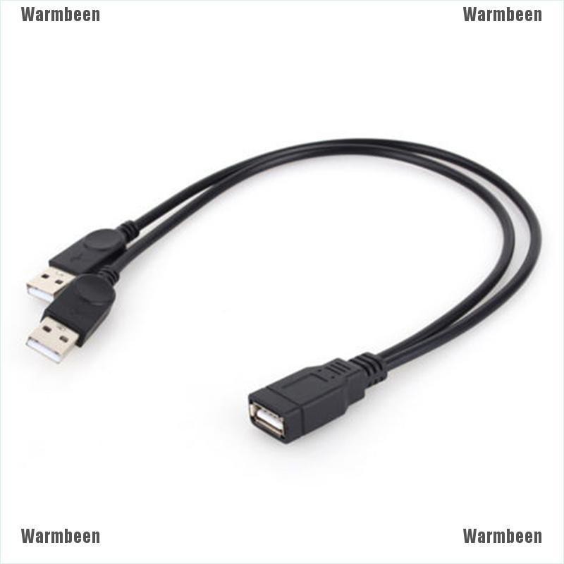 2 male usb cable