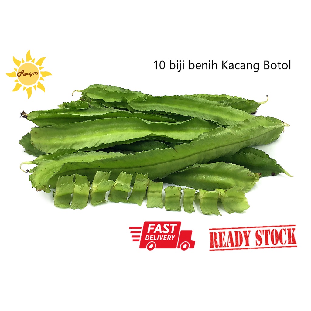 Buy 👉10pcs Benih Kacang Botol 四角豆 (四念豆)👈  SeeTracker Malaysia