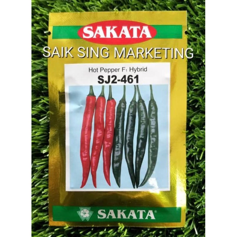 461 Sakata Hot Pepper F1 Hybrid Benih Cili Kulai Irrigation Fertigasi Sj2 10g Shopee Malaysia