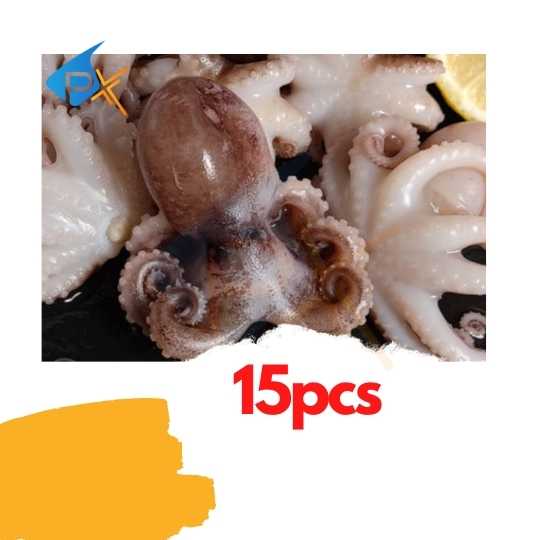 Buy Frozen Baby Octopus Sotong Kurita 15 Pcs 小八爪鱼 Seetracker Malaysia