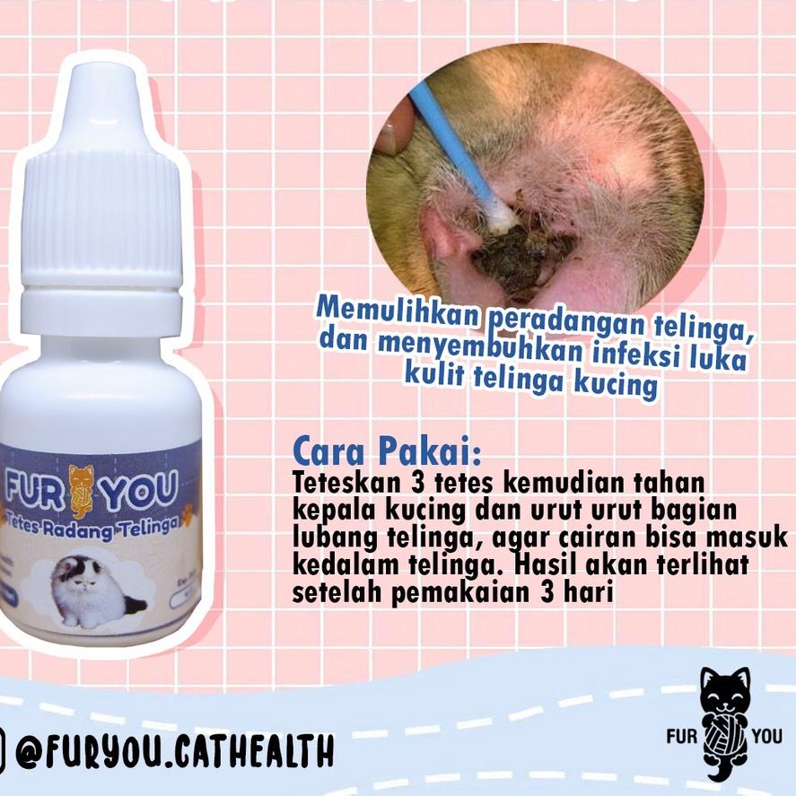 Cat Ear Inflammation Medicine For Cat Ears Infections Appears Appears