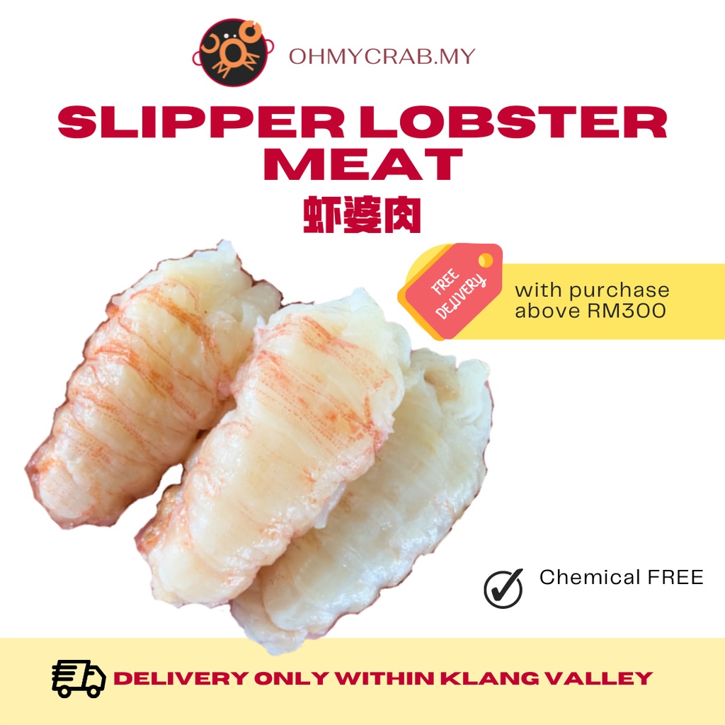 Frozen Slipper Lobster Meat 500g | Shopee Malaysia