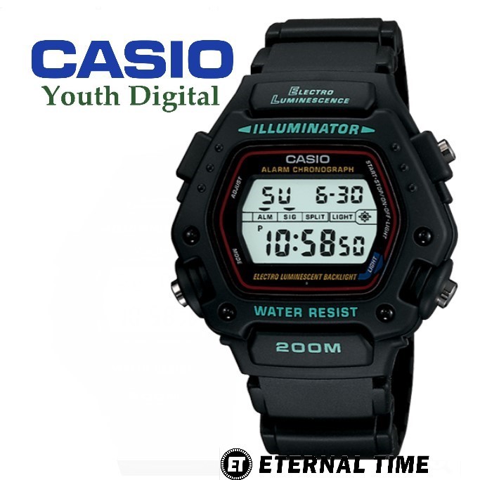 casio dw 290