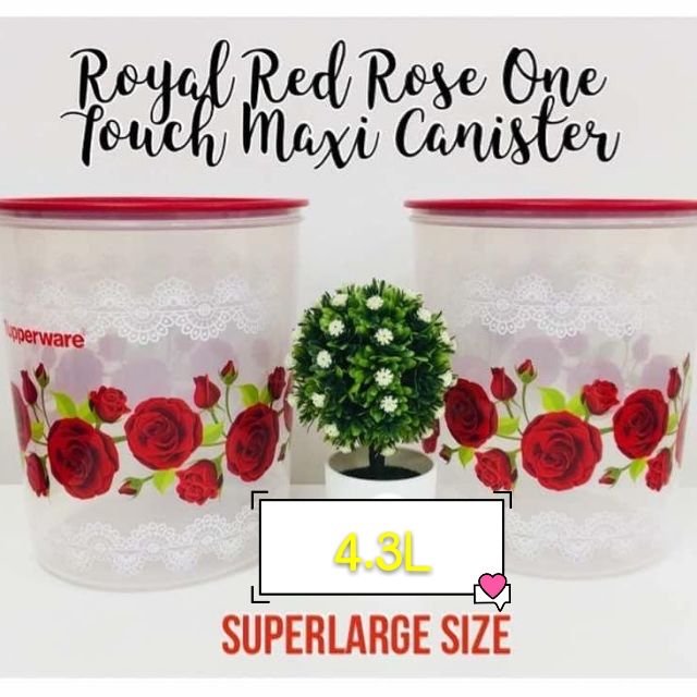 🔥BEST PRICE🔥 Royal Red Rose One Touch Maxi Canister