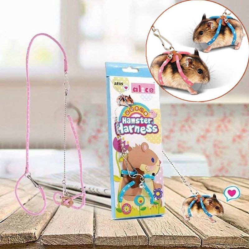 hamster harness and leash