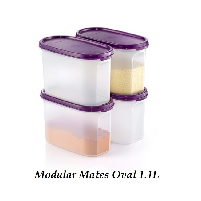 Tupperware Modular Mates Oval 1.1L Set (4pcs) Bekas Rempah BPA Free Platic Spice Storage Container