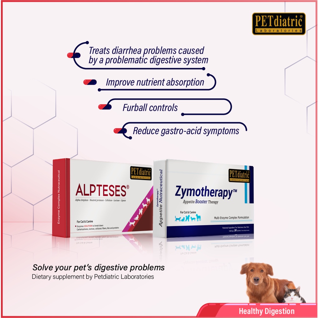 Can Digestive Enzymes Cause Diarrhea In Dogs