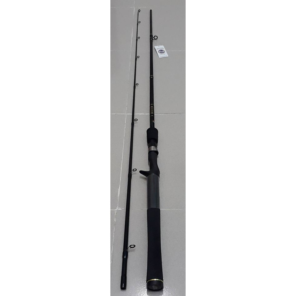 rod abu garcia sea caster