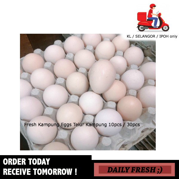 Fresh Kampung Eggs Telur Kampung 10pcs 30pcs Pack Malaysia