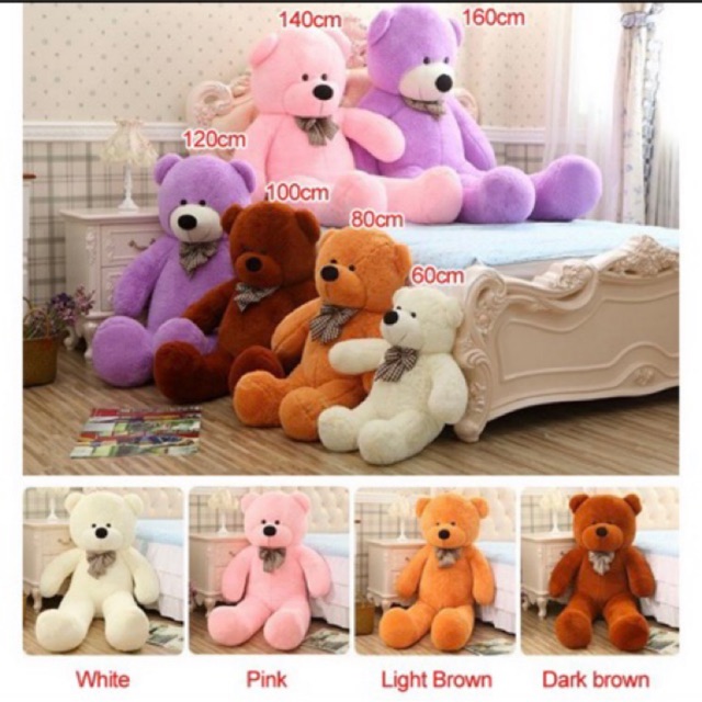 80cm teddy