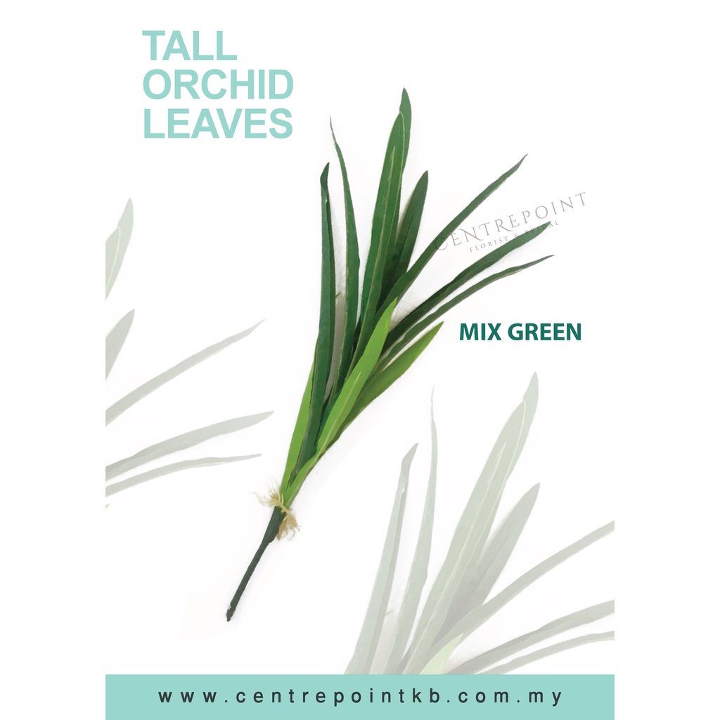 Ready Stock Tall Orchid Leaves Daun Orkid Panjang Shopee Malaysia