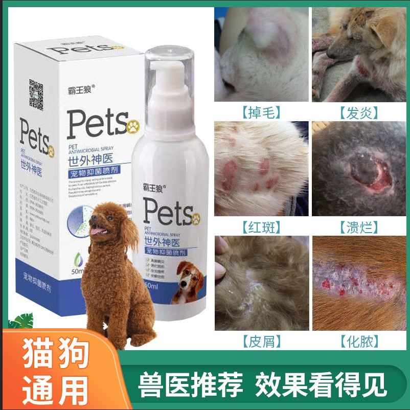 Pet Wound Anti Inflammatory Spray Sterilization And Disinfection宠物伤口消炎喷剂杀菌消毒 狗狗术后猫咪消肿外伤感染药止痒消毒液gfkgjr123 My3 11 Shopee Malaysia