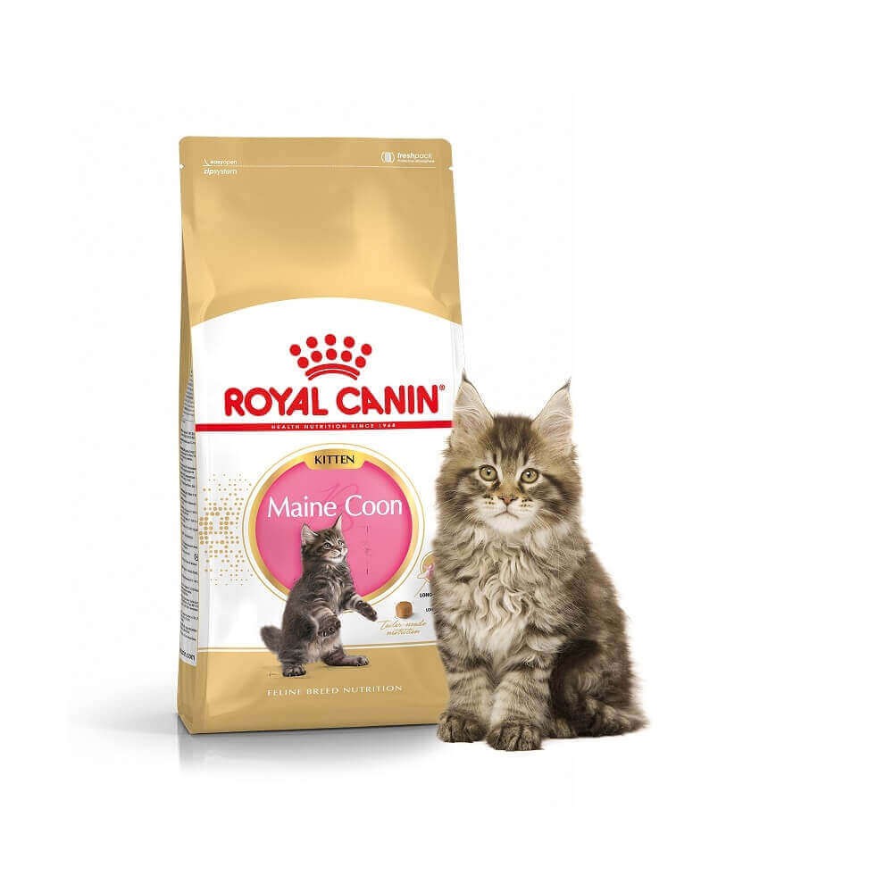 royal canin kitten maine coon 10kg