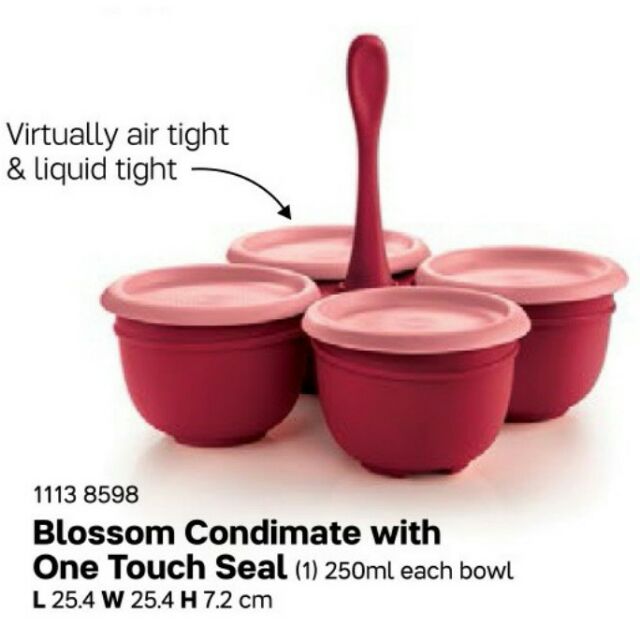 Tupperware Condimate With One Touch Seal