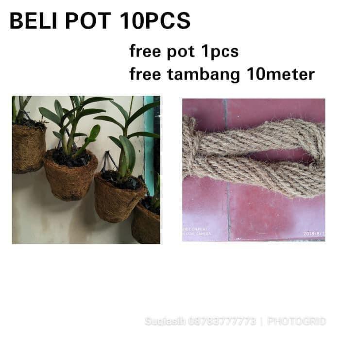  POT  ANGGREK  MINI COCONUT SHELL COCOFIBER DISTRIBUTOR 