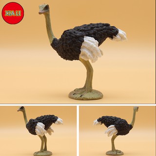 Ostrich Simulated Safari Animal Figurine Realistic Plastic Wild Animals Model for Animal Collection