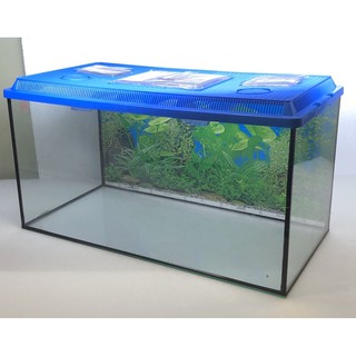 2feet aquarium cover akuarium 2 kaki penutup XHHG Shopee 2feet aquarium cover akuarium 2 kaki penutup XHHG Shopee
