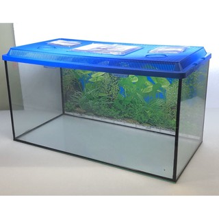 2feet aquarium  cover akuarium 2 kaki penutup  XHHG Shopee 