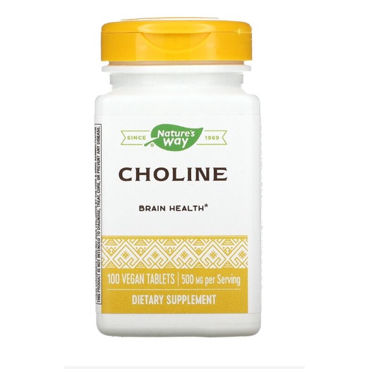 Choline, 500 mg, 100 Vegan Tablets Shopee Malaysia