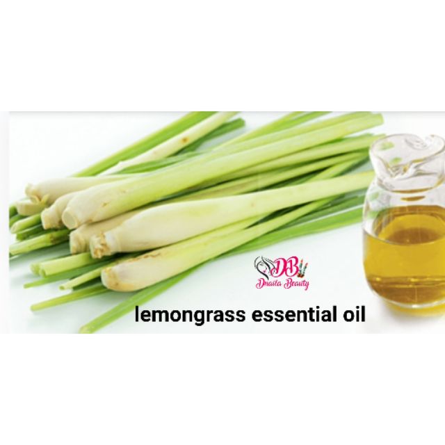 Lemongrass Essential Oil 10ml Shopee Malaysia