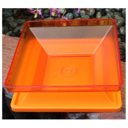 Tupperware Get Together Square Server 500ml