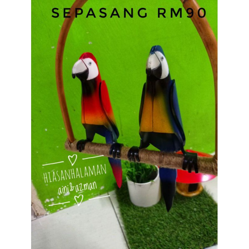 Hot Deal Rm50 Burung Kakak Tua Kecil Shopee Malaysia
