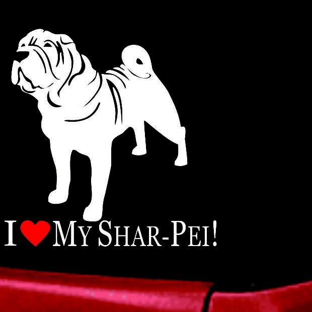 My Shar-Pei Is Homeland Security DC824HS High Quality Adhesive Vinyl Window Decal Sticker