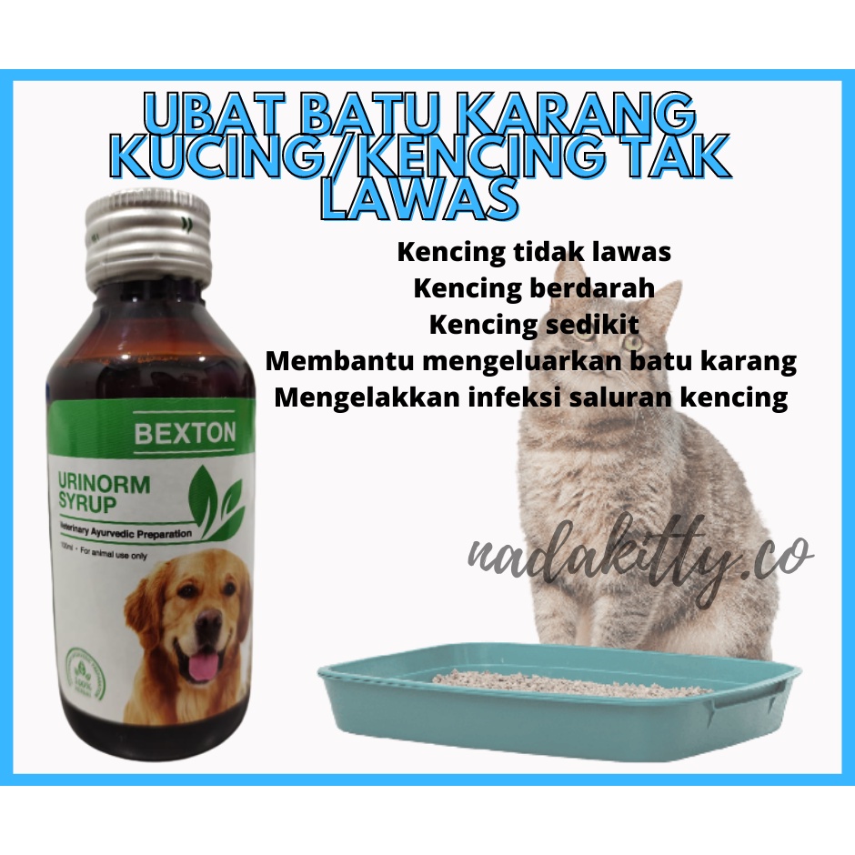 Ubat Batu Karang Kucing Kencing Berdarah Kencing Tak Lawas Infeksi Saluran Kencing Kucing 100ml Shopee Malaysia