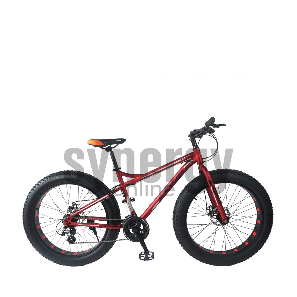 fat bike 16