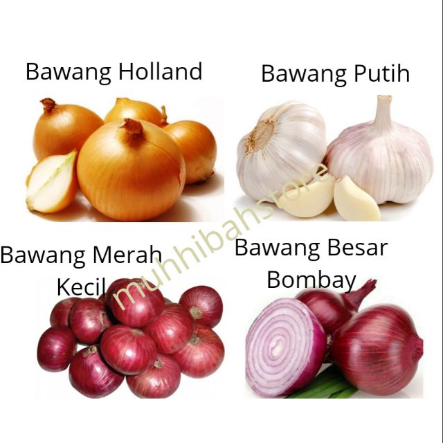 Bawang Merah Bawang Putih Bawang Holland Bawang Besar Bombay Shopee Malaysia