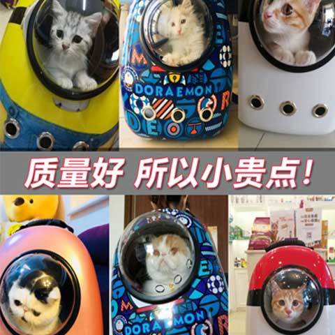 ❇✢Beg kucing haiwan kesayangan keluar sangkar kabin mudah alih 