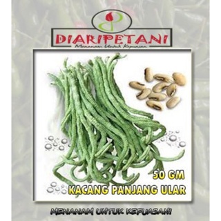 Buy Benih Kacang Panjang Ular 25 Biji Home Garden Seetracker Malaysia