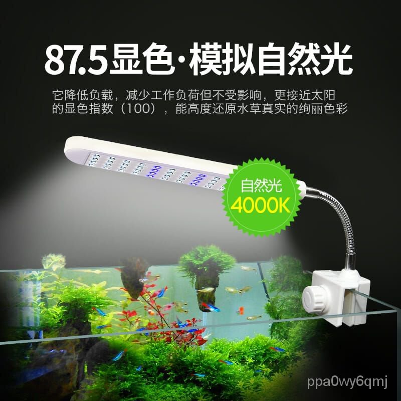 鱼缸夹灯水族箱草缸海水led照明灯迷你乌龟缸灯led全光谱水草架 Shopee Malaysia