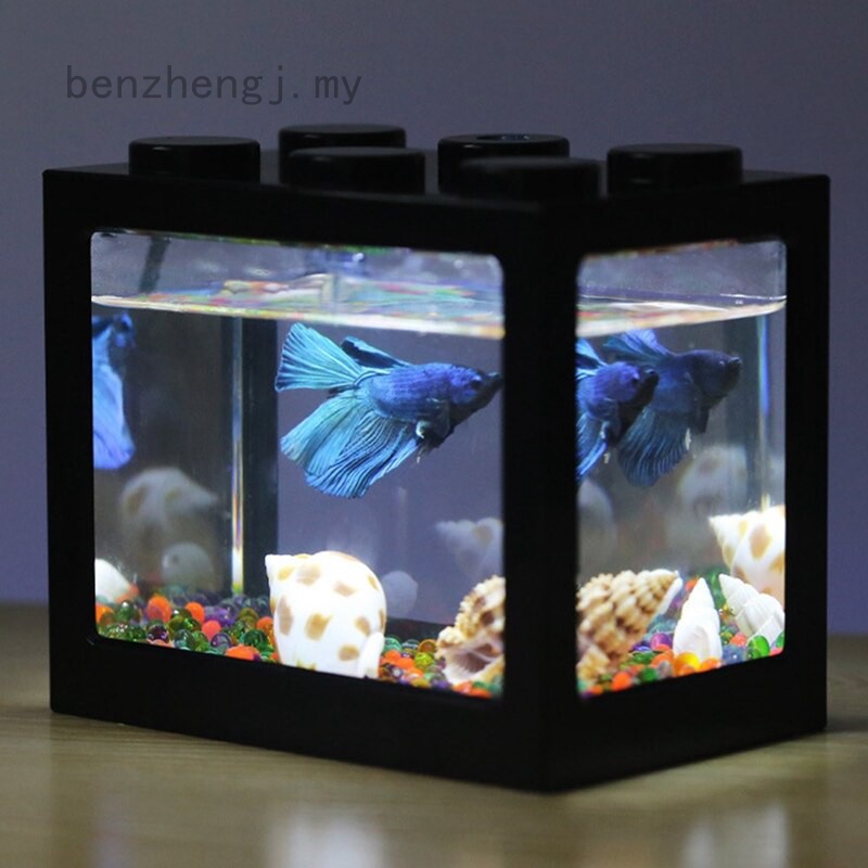 betta feeding block
